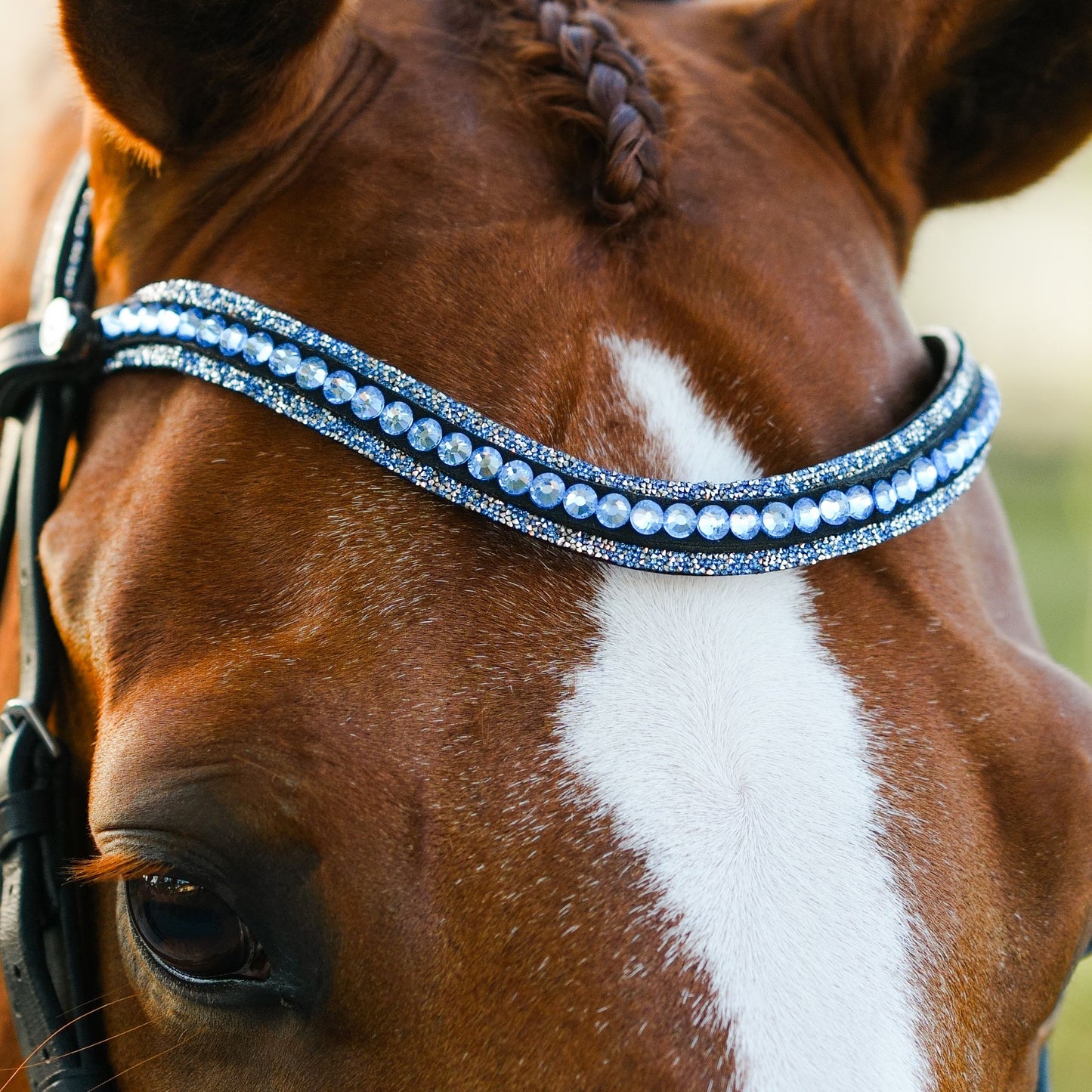 Lumiere Paris Hanoverian Bridle
