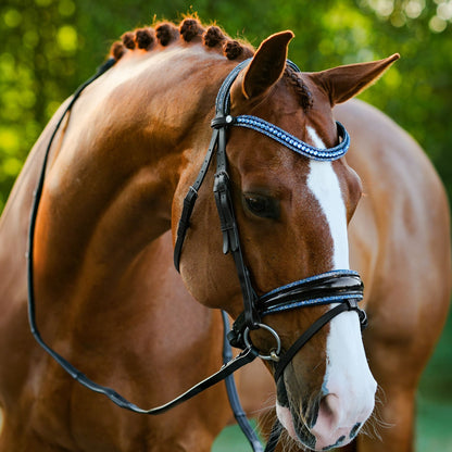 Lumiere Paris Hanoverian Bridle