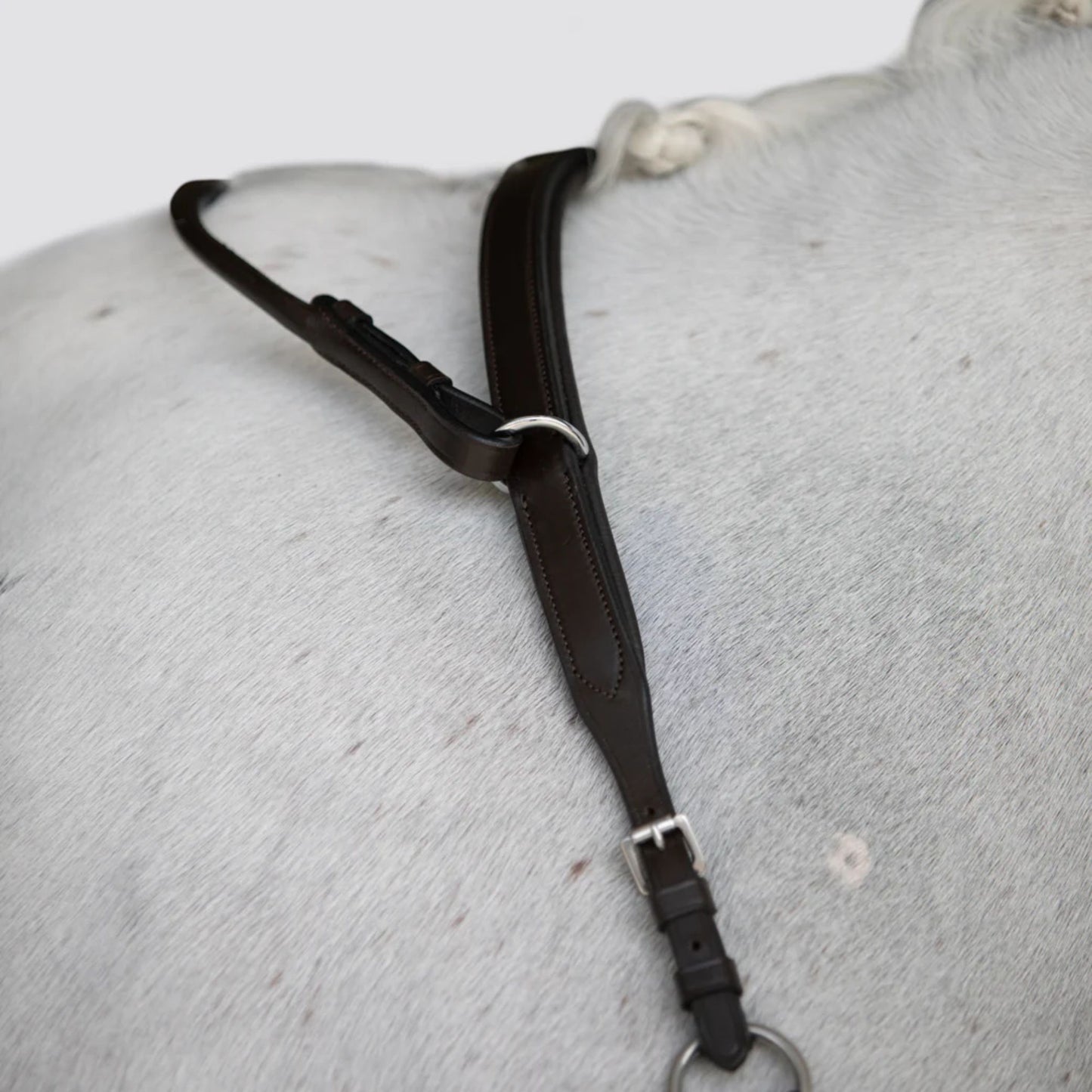 Lumiere Parker Breastplate