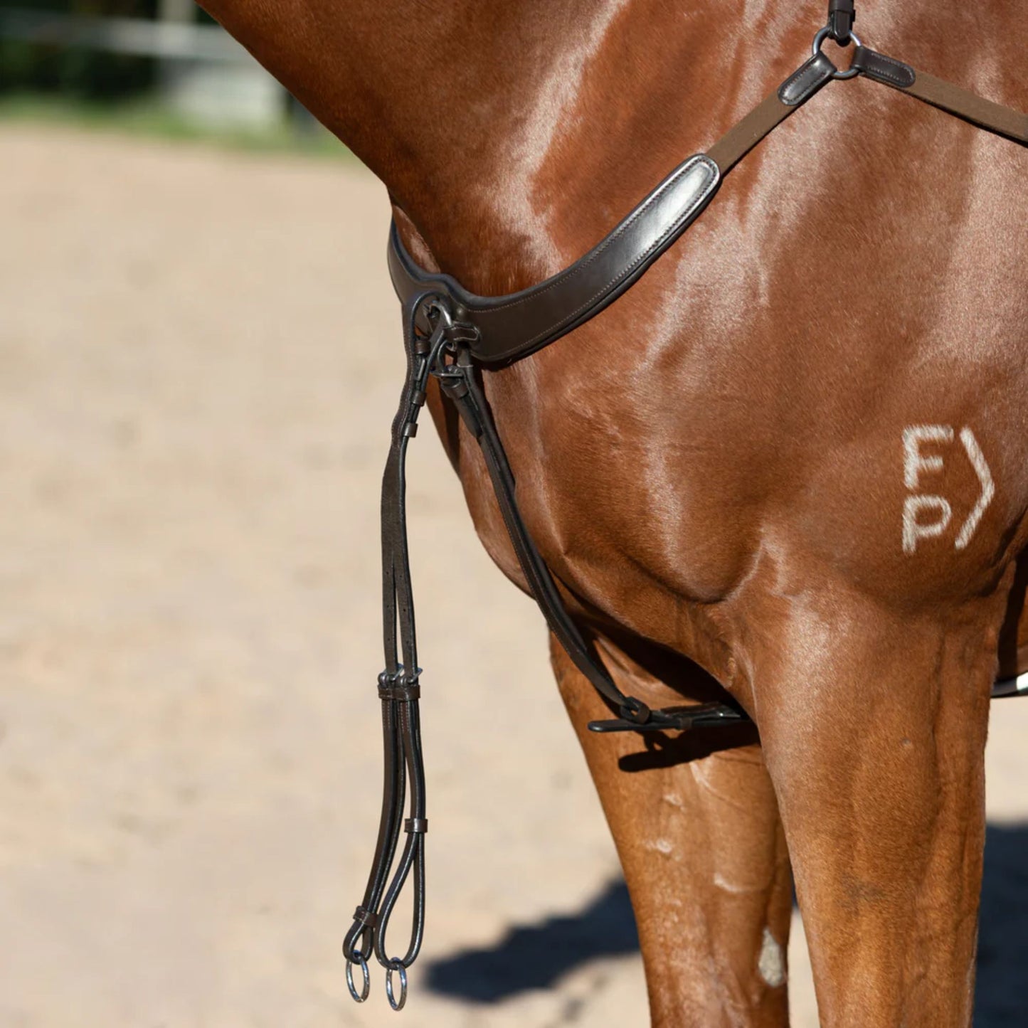 Lumiere Parker Breastplate