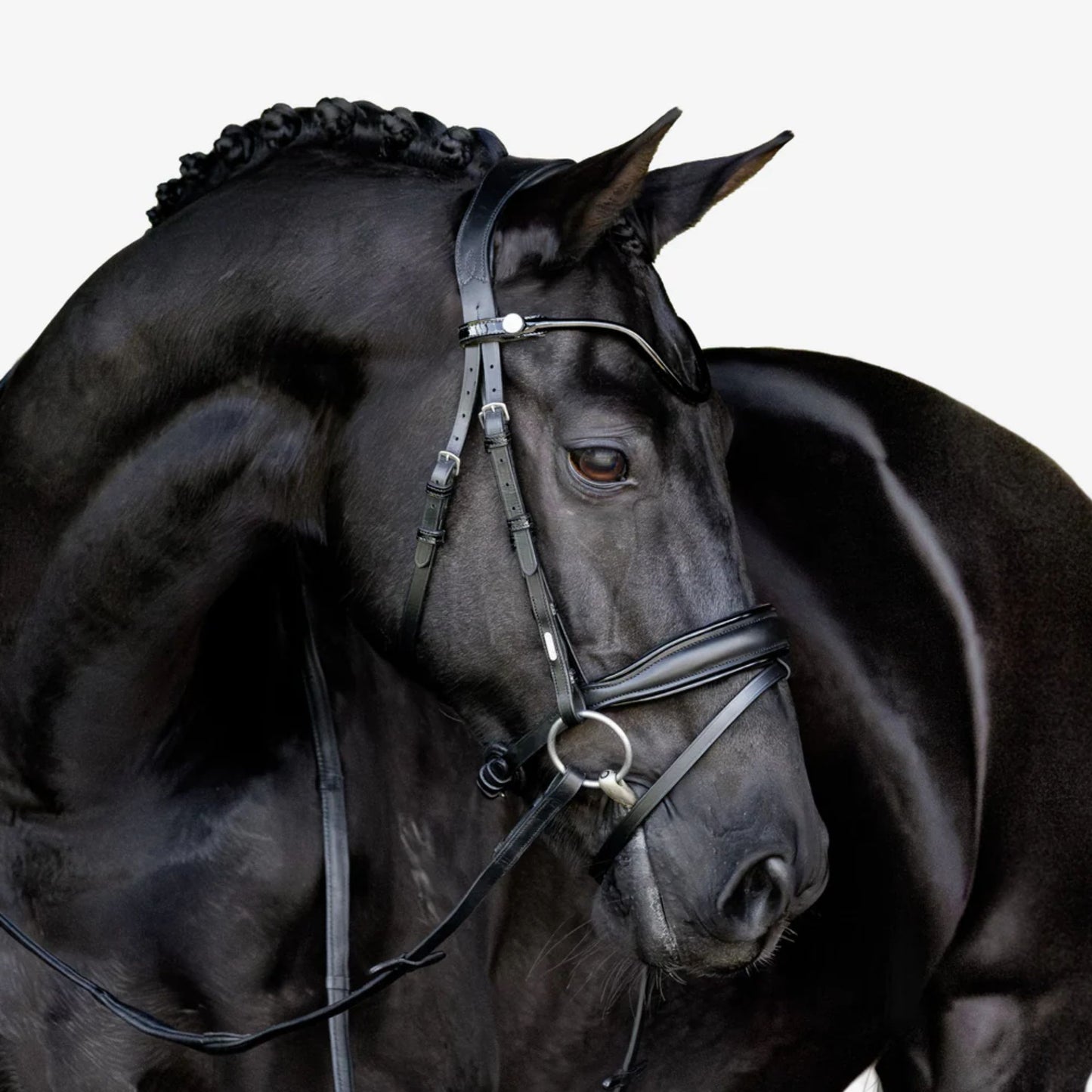 Lumiere Penny Hanoverian Bridle