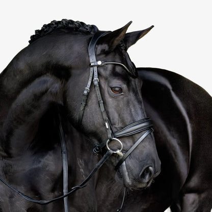 Lumiere Penny Hanoverian Bridle