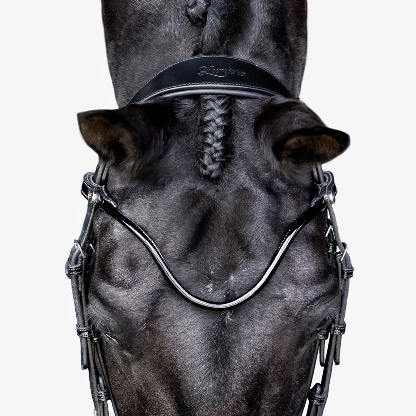 Lumiere Penny Hanoverian Bridle