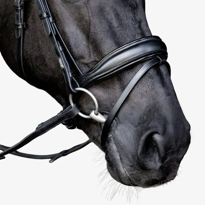Lumiere Penny Hanoverian Bridle