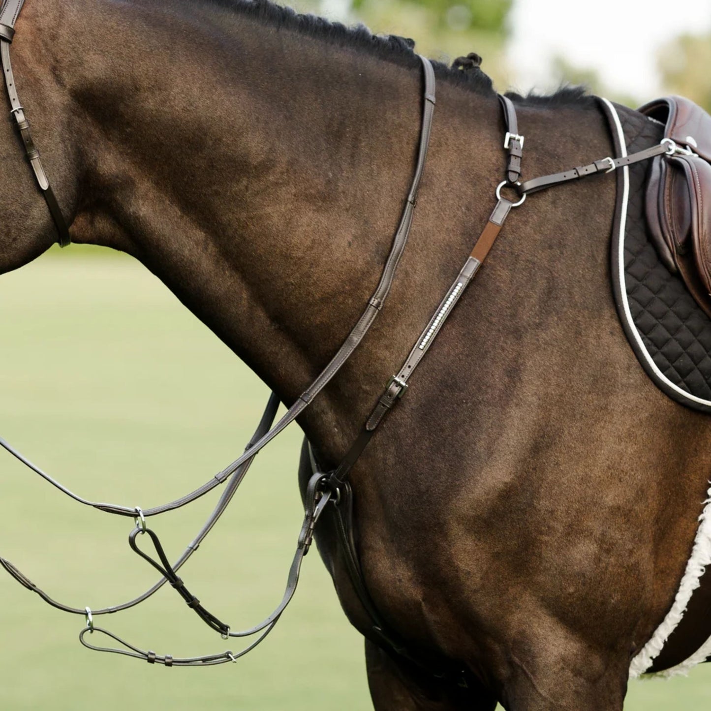 Lumiere Perseus Breastplate