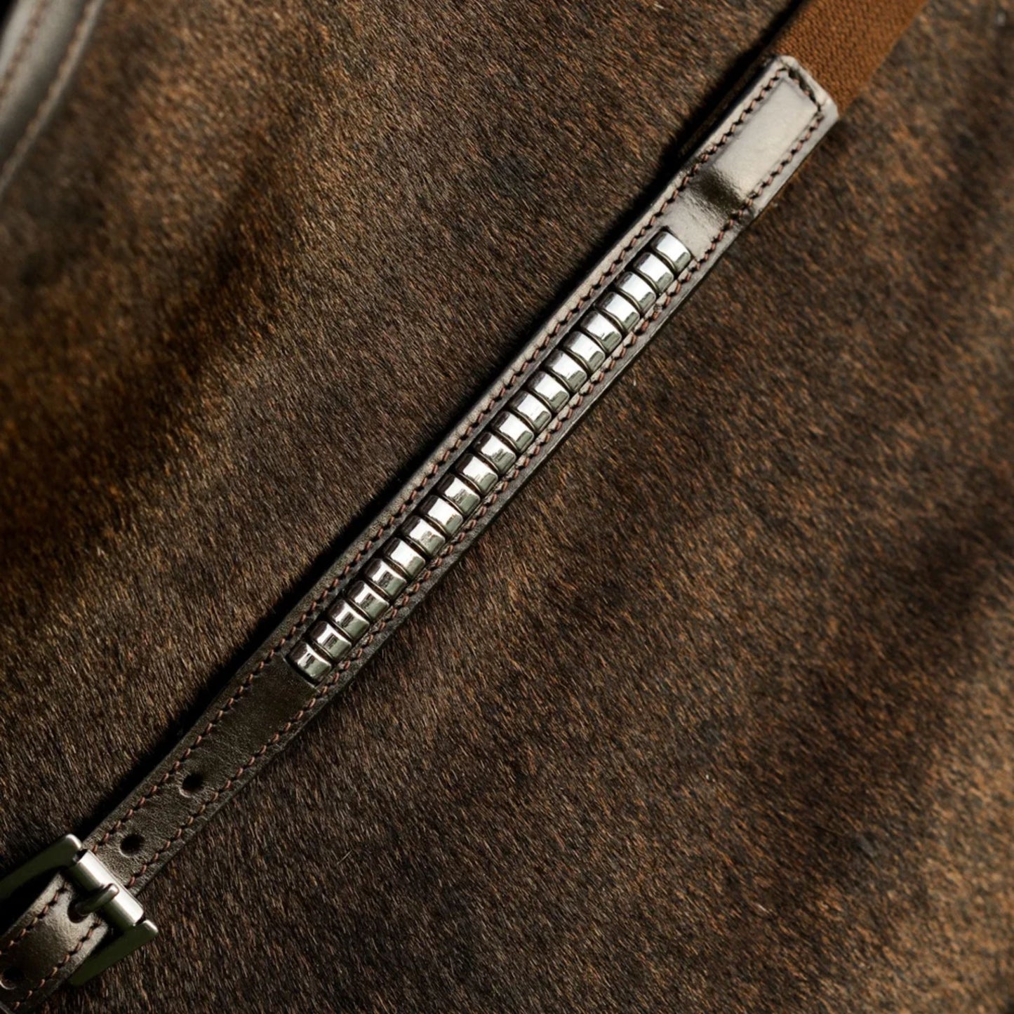 Lumiere Perseus Breastplate