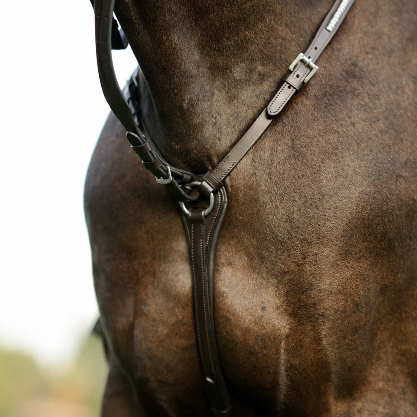 Lumiere Perseus Breastplate