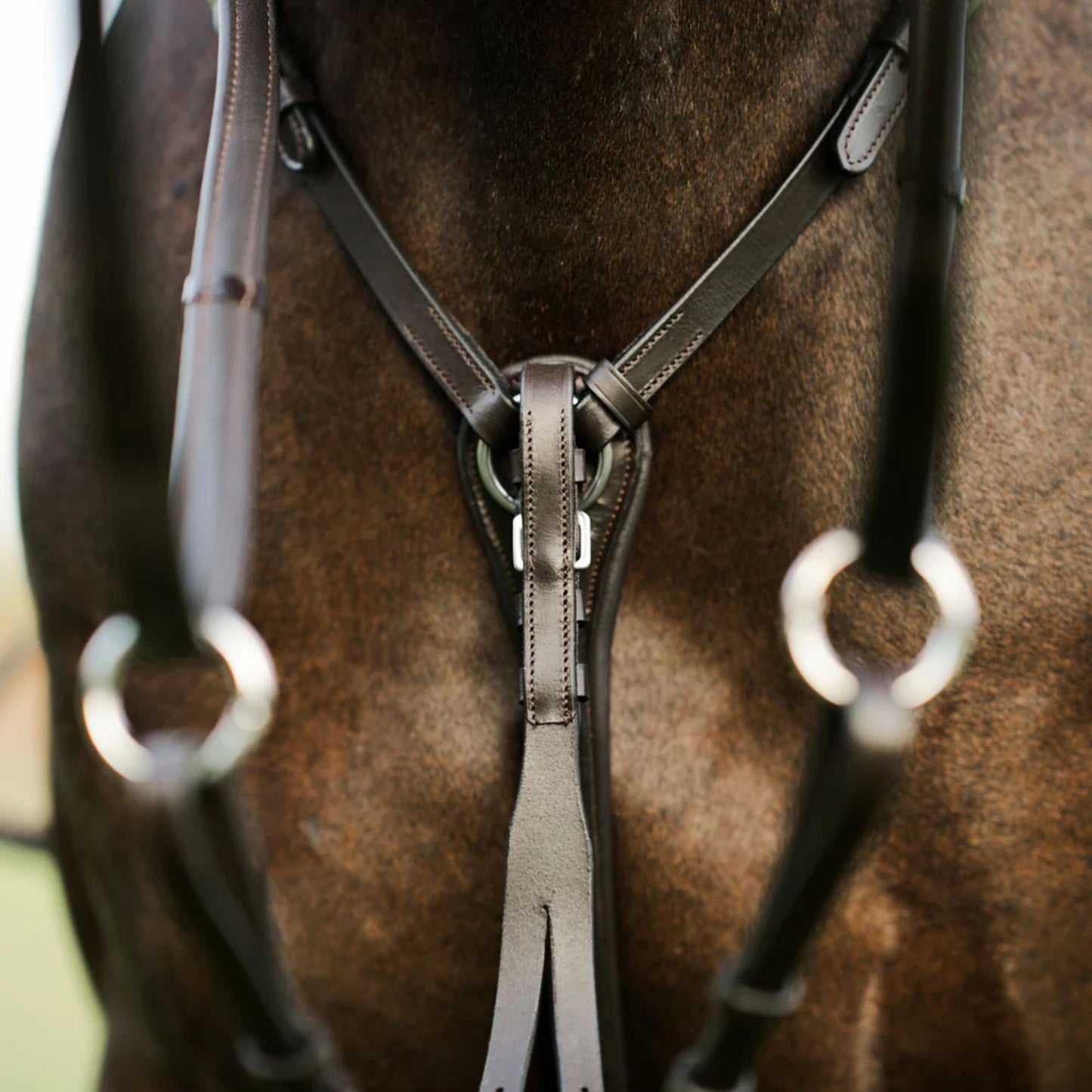 Lumiere Perseus Breastplate