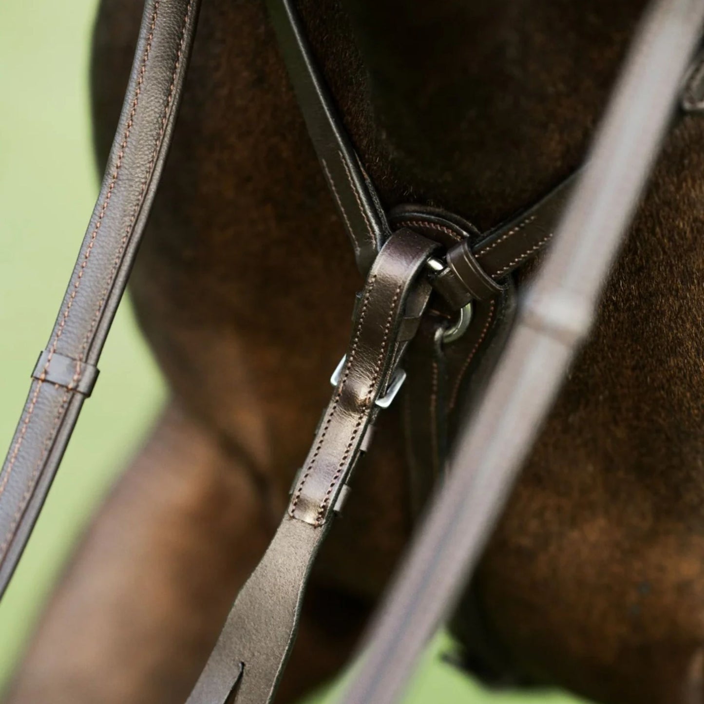 Lumiere Perseus Breastplate