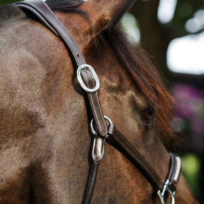 Lumiere Perseus Halter