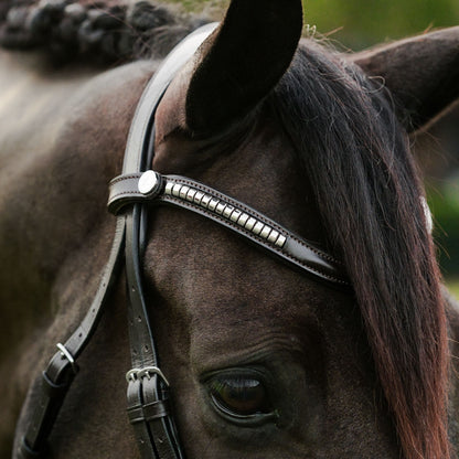 Lumiere Perseus Halter
