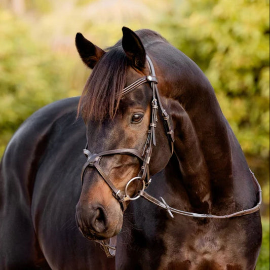 Lumiere Pia Grackle Bridle