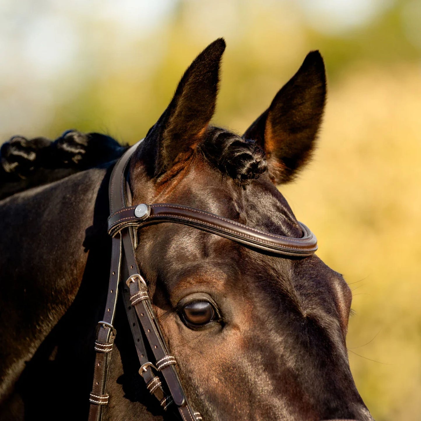 Lumiere Pia Grackle Bridle