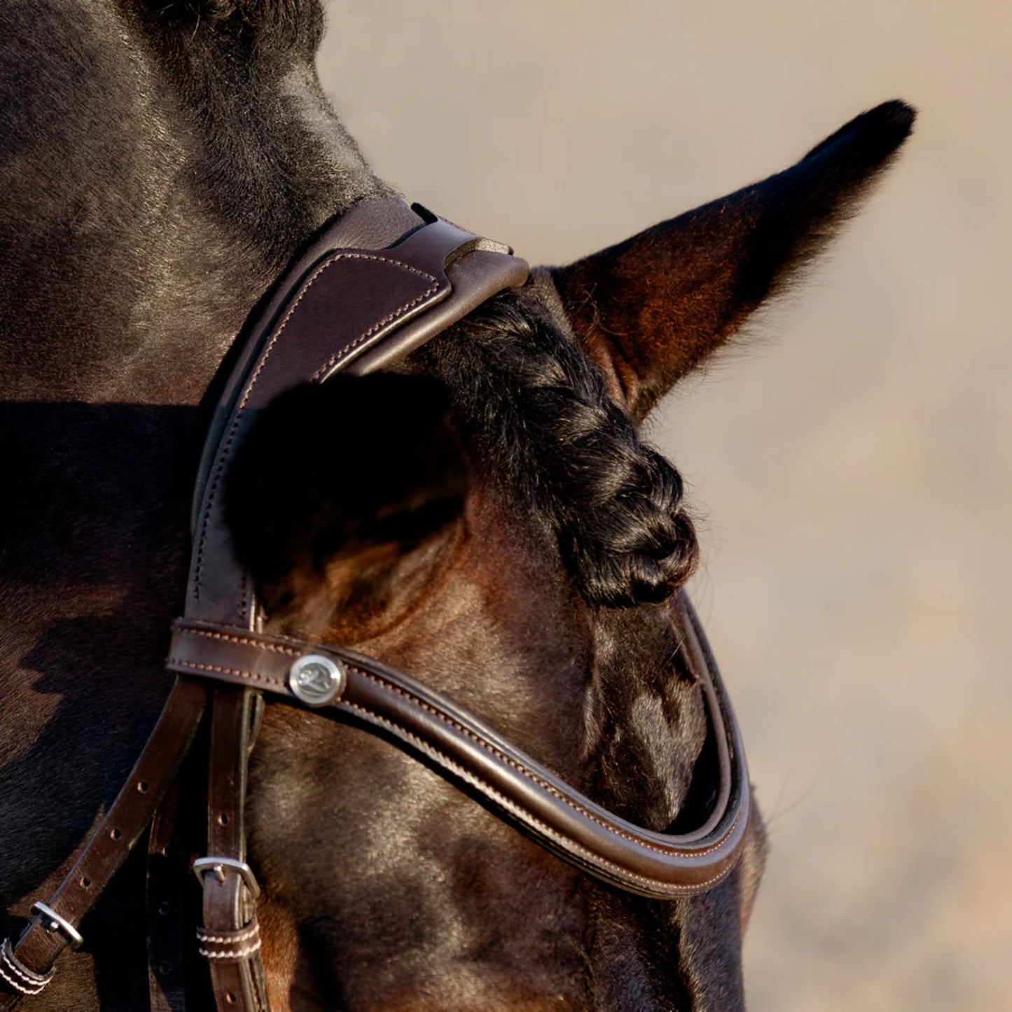 Lumiere Pia Grackle Bridle
