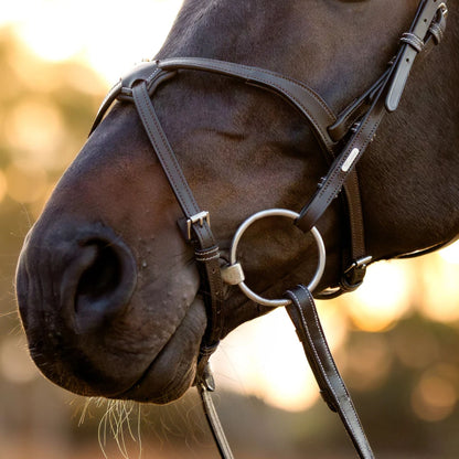 Lumiere Pia Grackle Bridle