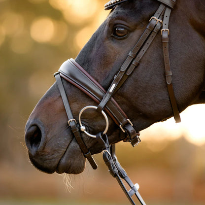 Lumiere Pippa Hanoverian Bridle