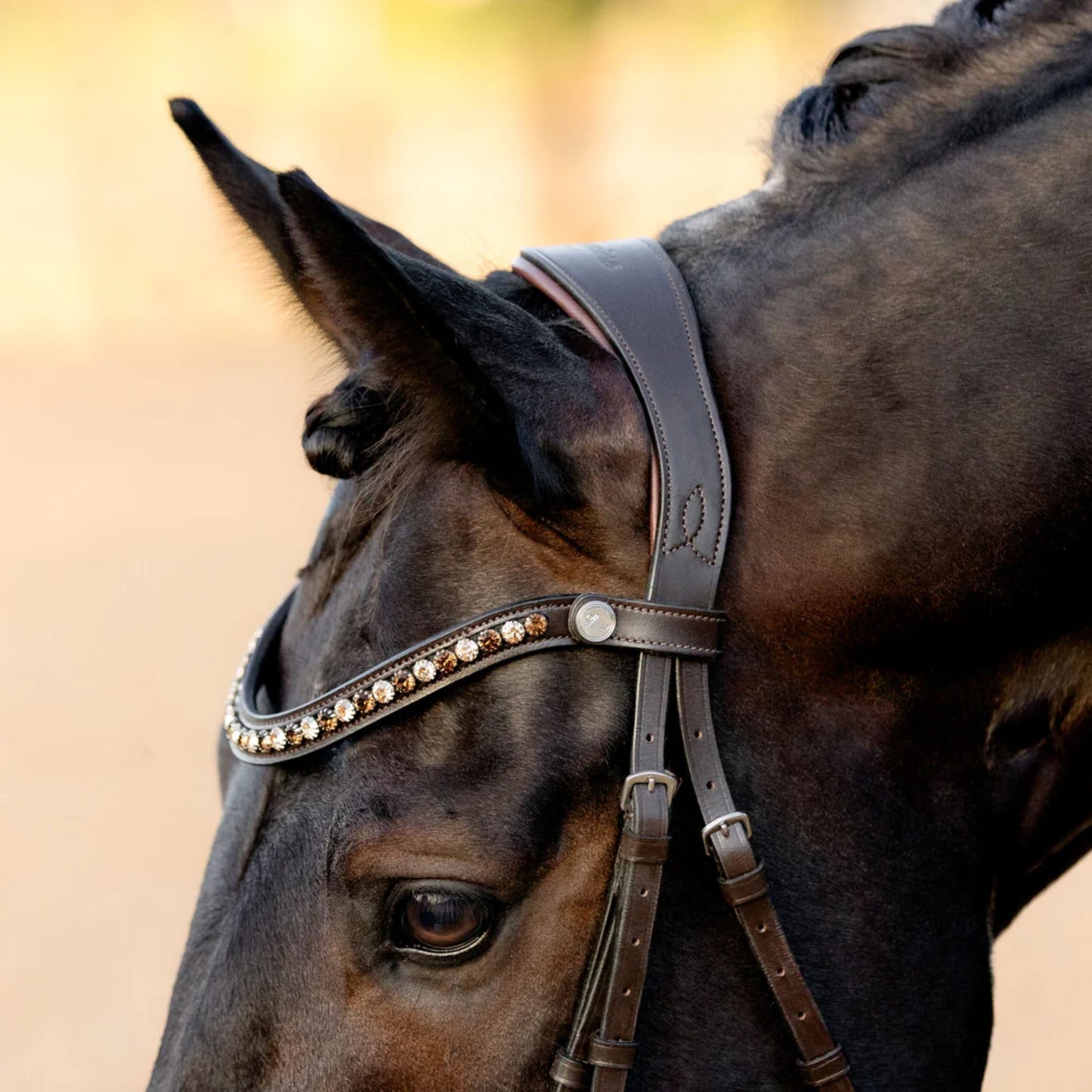 Lumiere Pippa Hanoverian Bridle