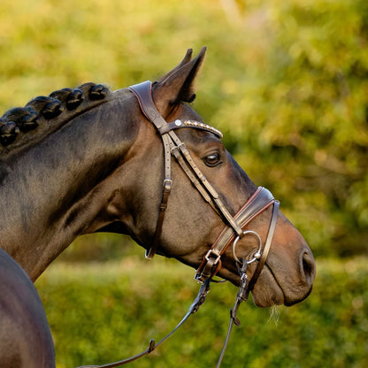Lumiere Pippa Hanoverian Bridle