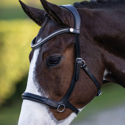 Lumiere Santiago Bitless Bridle