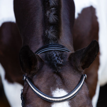 Lumiere Santiago Bitless Bridle