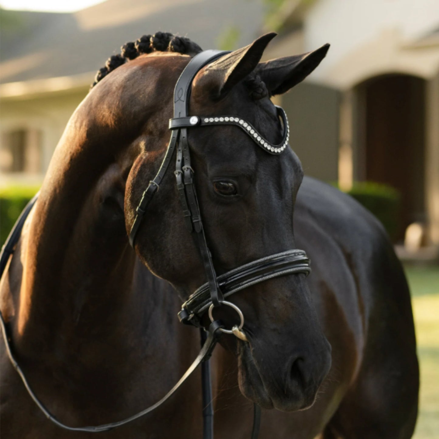 Lumiere Saphira Cavesson Bridle - EQ Saddlery
