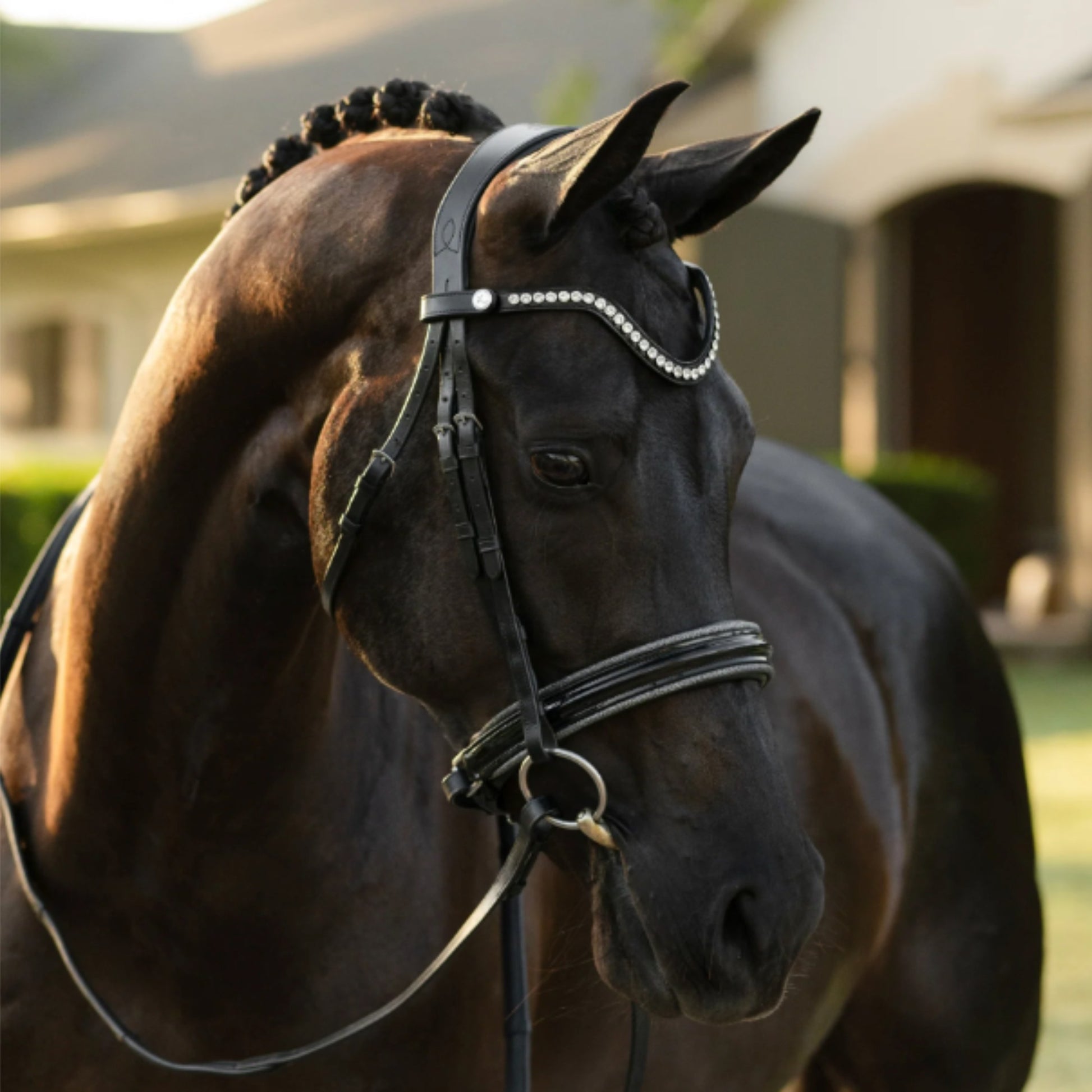 Lumiere Saphira Cavesson Bridle - EQ Saddlery