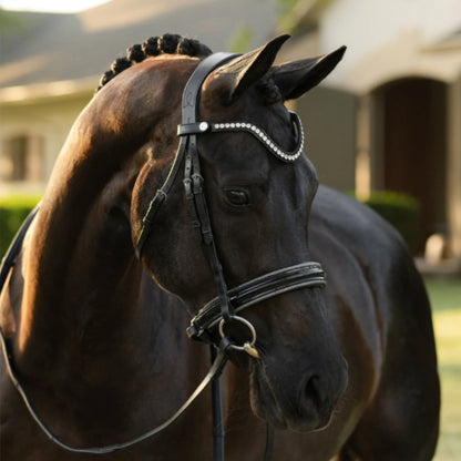 Lumiere Saphira Cavesson Bridle - EQ Saddlery