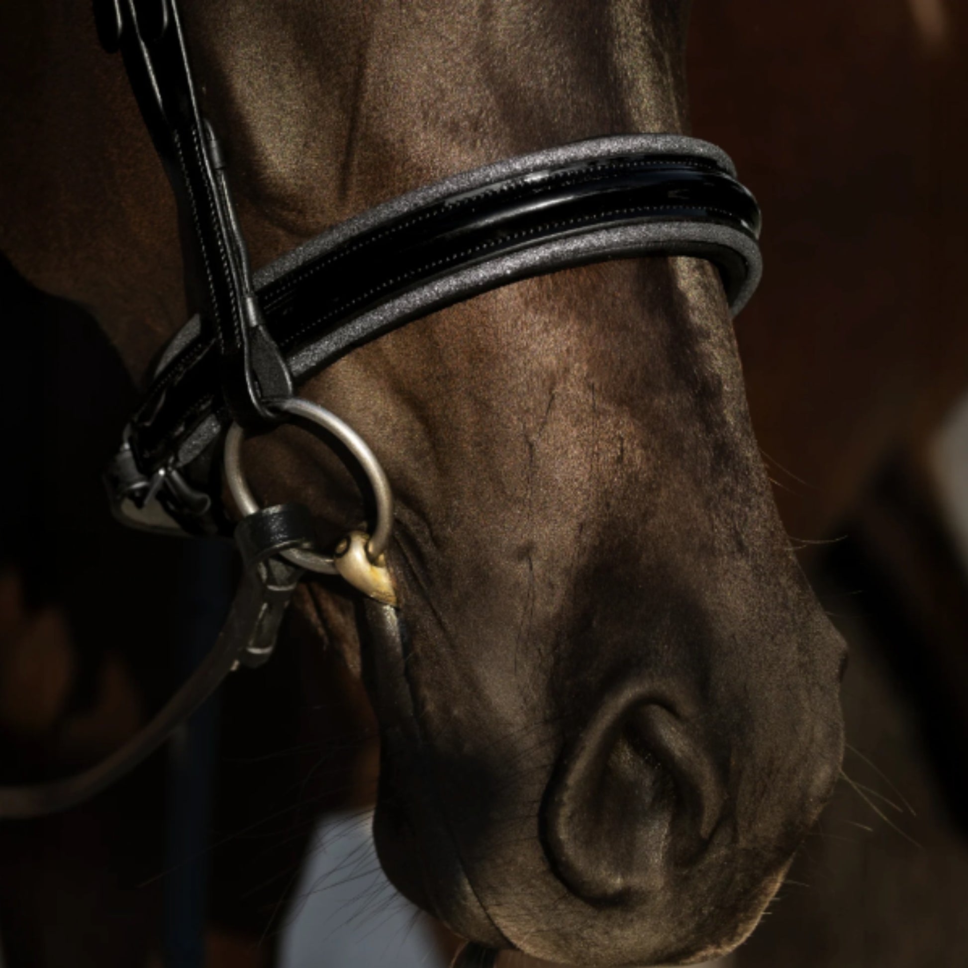 Lumiere Saphira Cavesson Bridle - EQ Saddlery