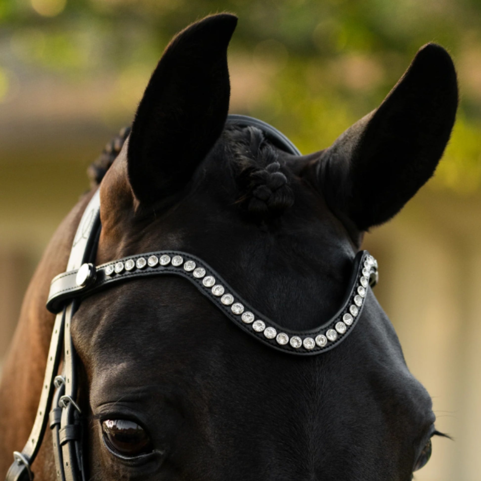 Lumiere Saphira Cavesson Bridle - EQ Saddlery