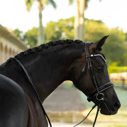 Lumiere Saphira Cavesson Bridle - EQ Saddlery