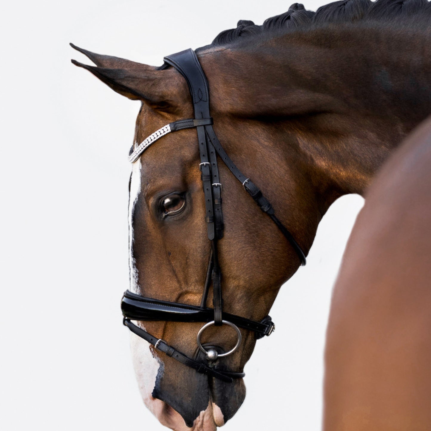 Lumiere Amie Hanoverian Rolled Leather Bridle - EQ Saddlery