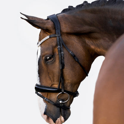 Lumiere Amie Hanoverian Rolled Leather Bridle - EQ Saddlery