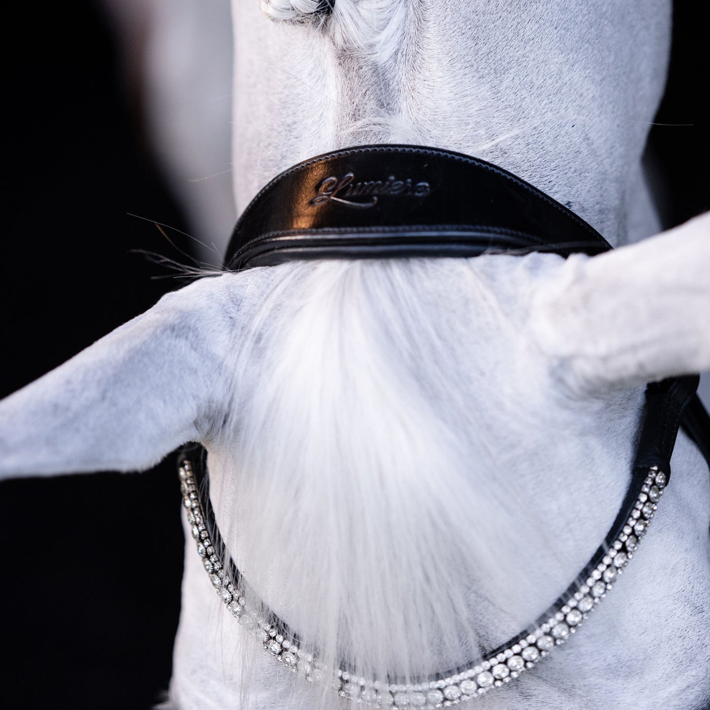 Lumiere Amie Hanoverian Rolled Leather Bridle - EQ Saddlery