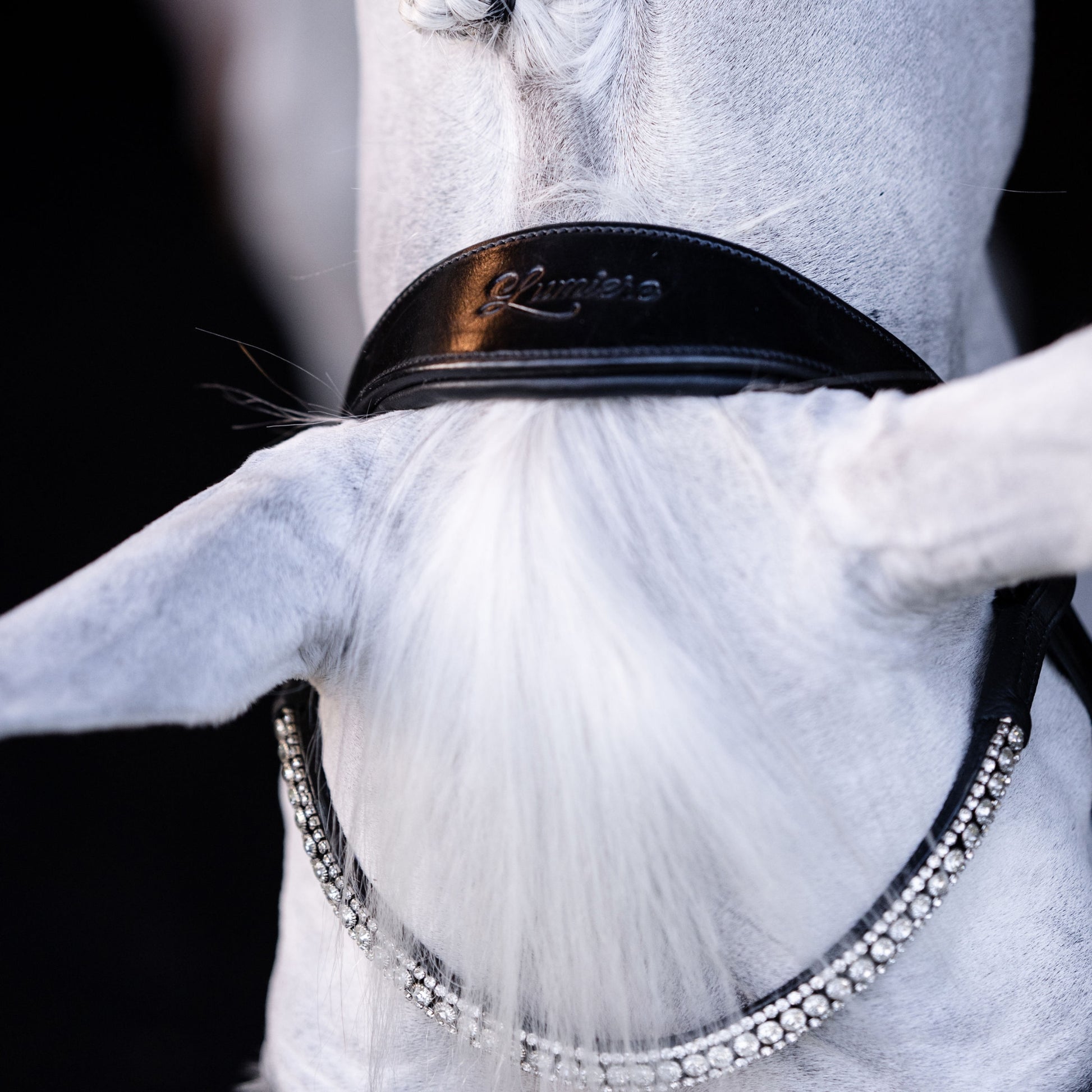 Lumiere Amie Hanoverian Rolled Leather Bridle - EQ Saddlery