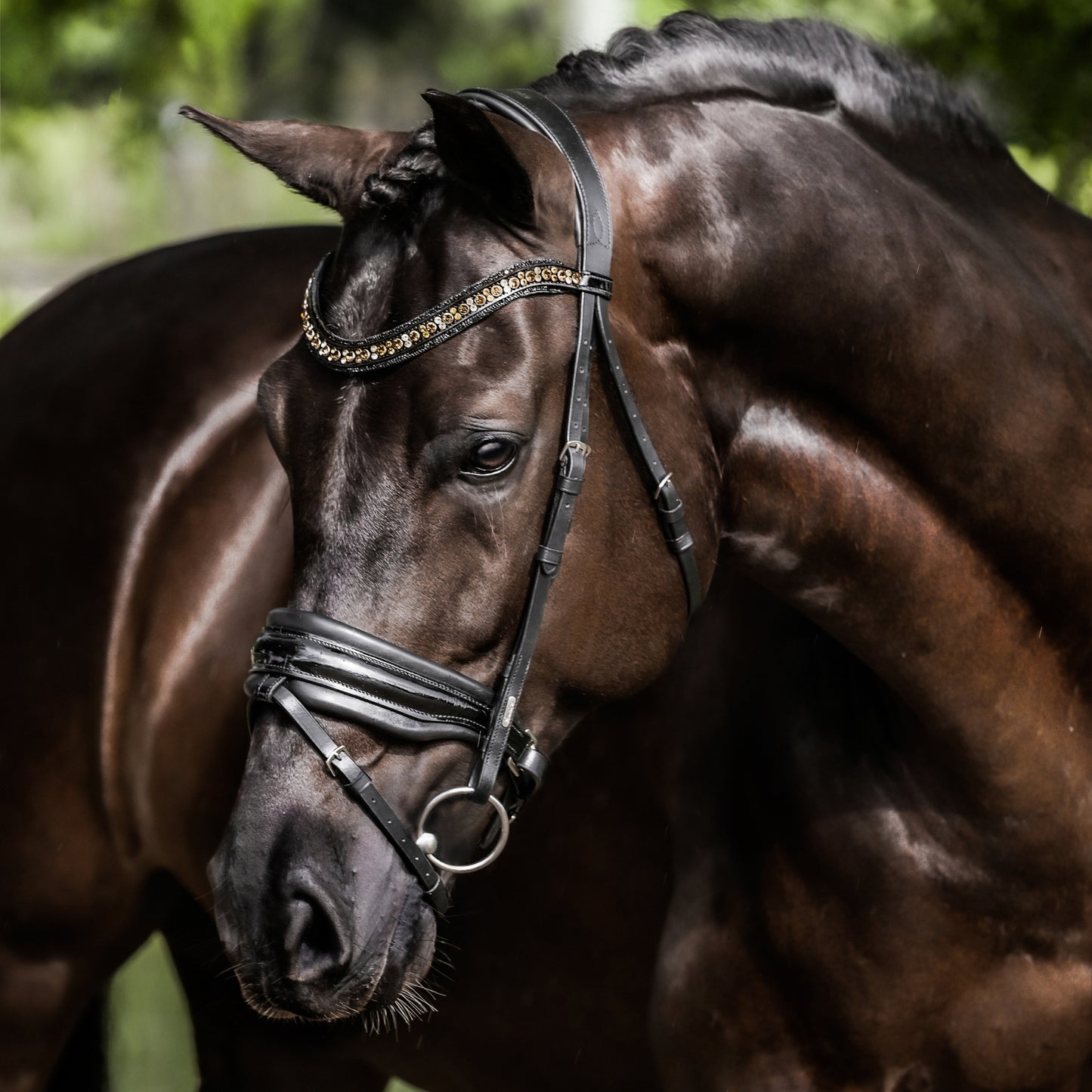 Lumiere Ariana Hanoverian Leather Bridle