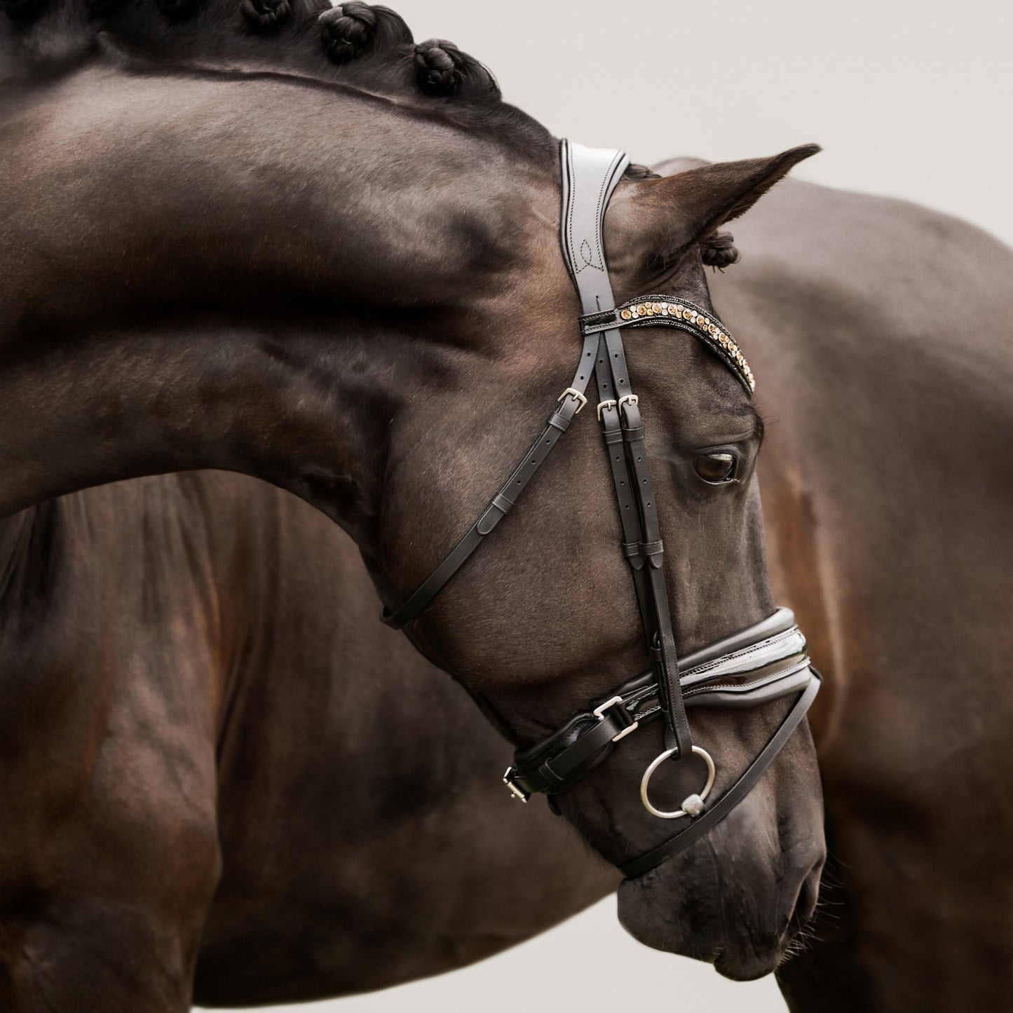 Lumiere Ariana Hanoverian Leather Bridle