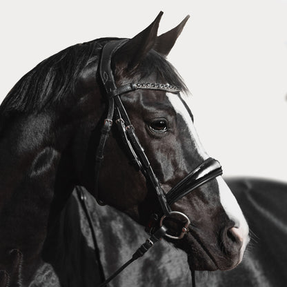 Lumiere Audrey Cavesson Rolled Leather Bridle - EQ Saddlery