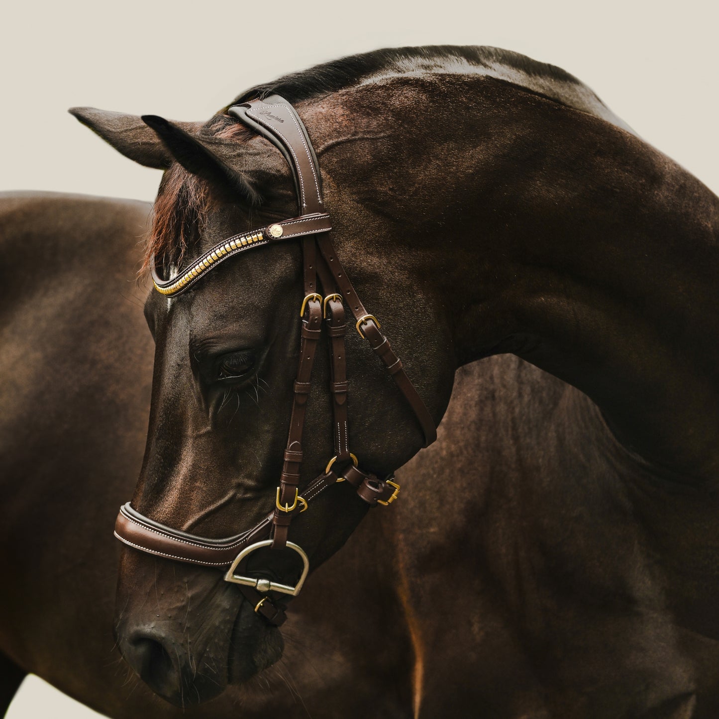 Lumiere Dallas Anatomic Bridle