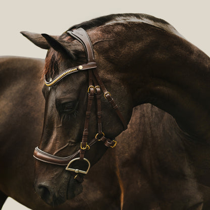 Lumiere Dallas Anatomic Bridle