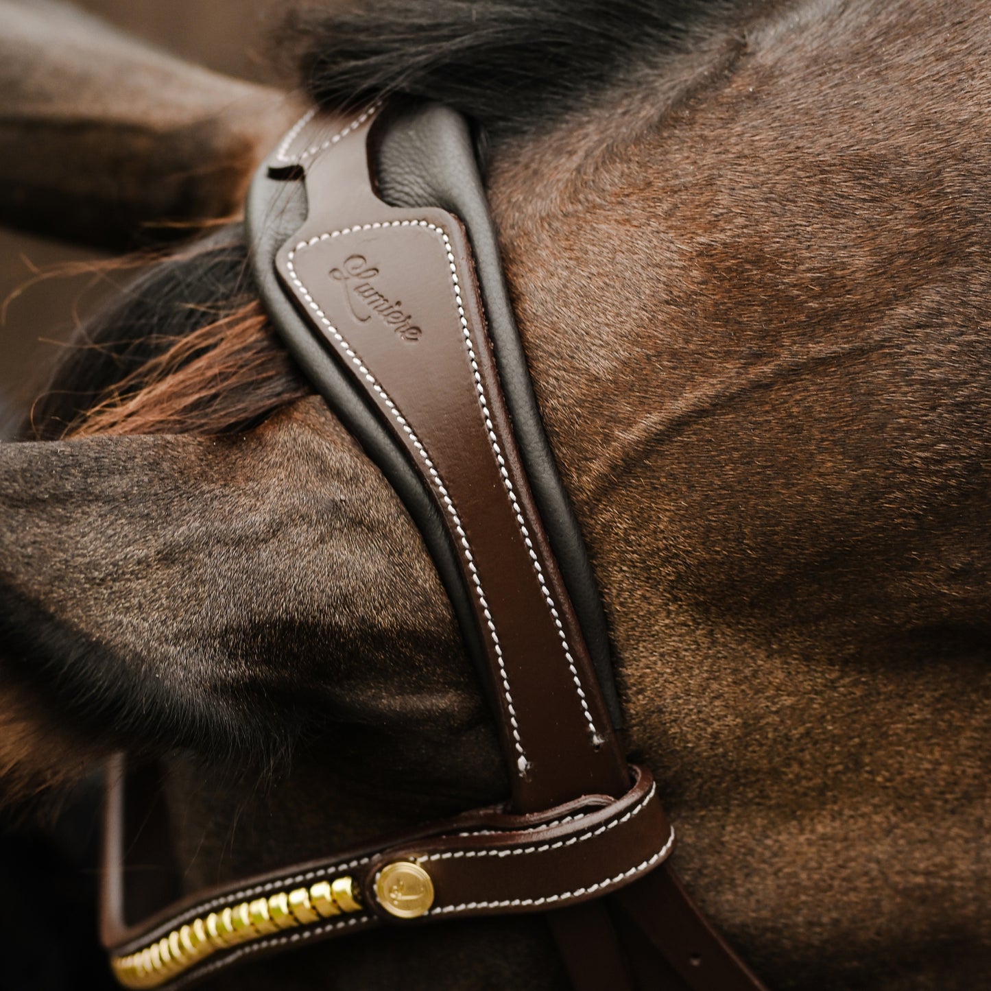 Lumiere Dallas Anatomic Bridle
