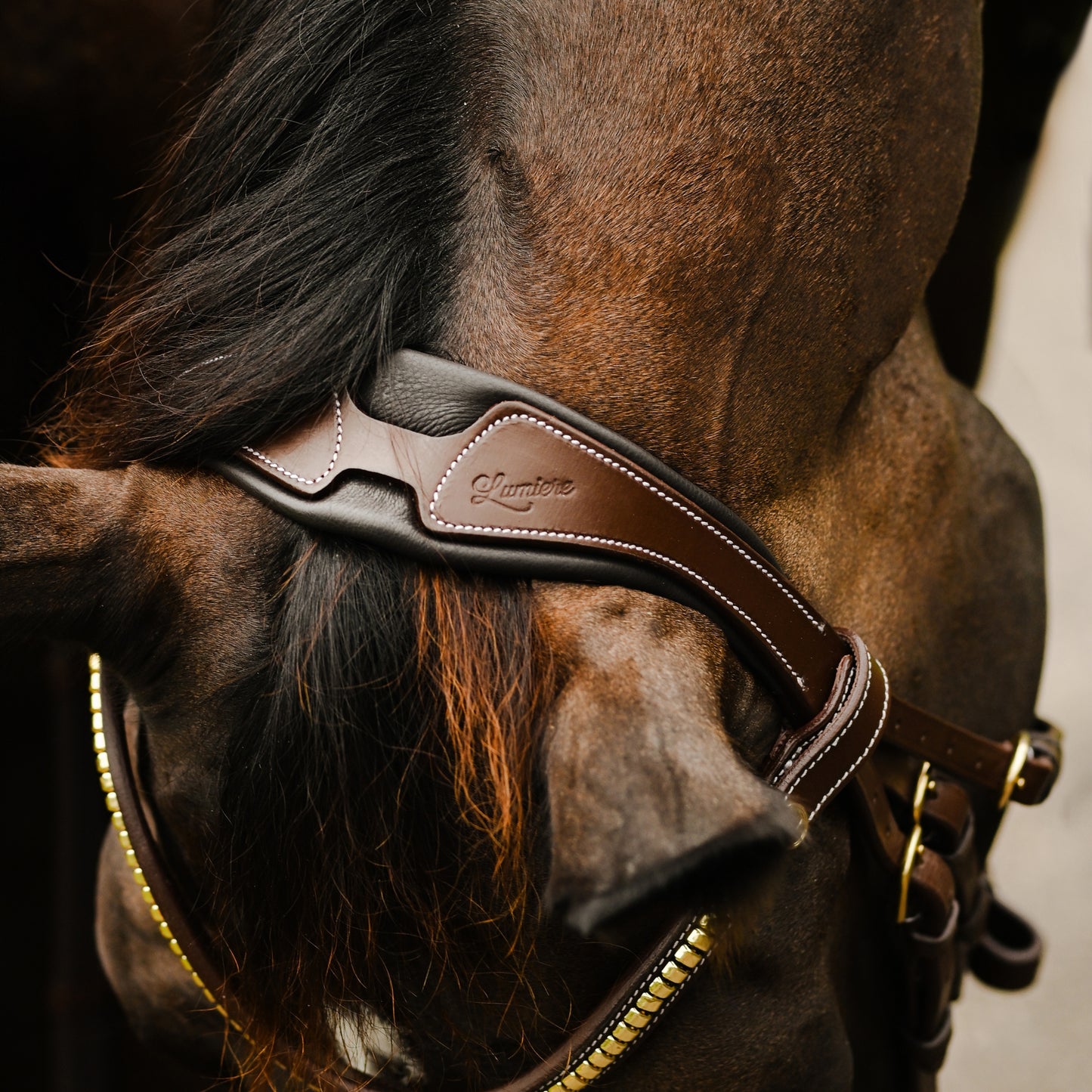 Lumiere Dallas Anatomic Bridle
