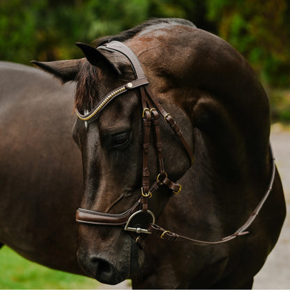 Lumiere Dallas Anatomic Bridle