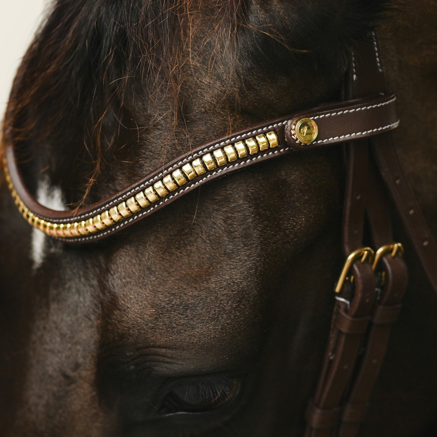 Lumiere Dallas Anatomic Bridle