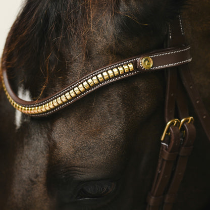 Lumiere Dallas Anatomic Bridle