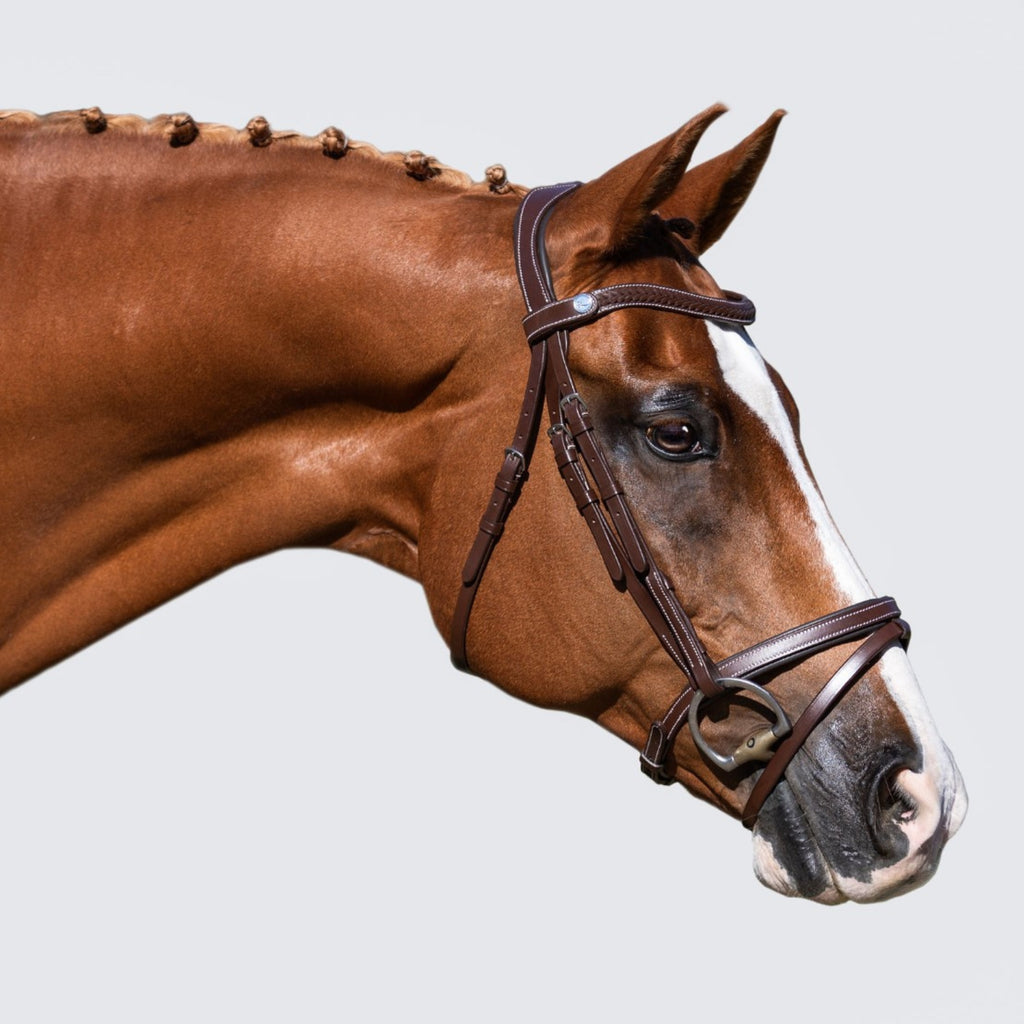 Lumiere Delaney Hanoverian Bridle - EQ Saddlery