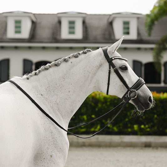 Lumi Pony Diva Cavesson Bridle - EQ Saddlery