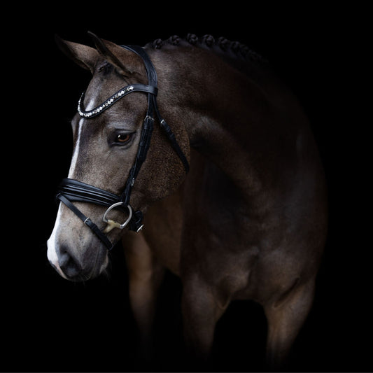 Lumiere Mercury Hanoverian Bridle - EQ Saddlery