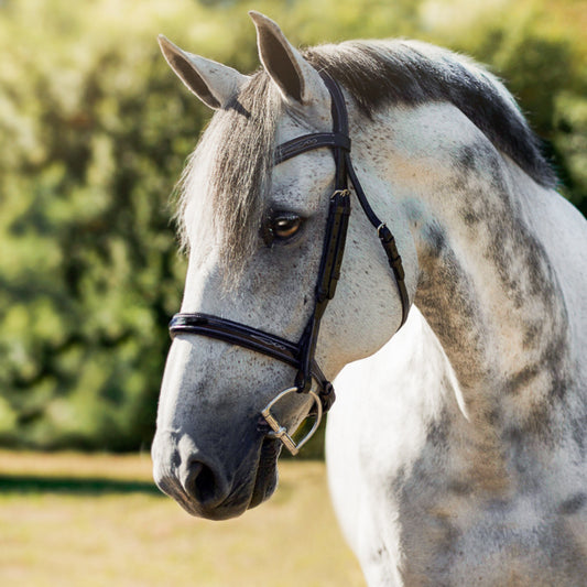 Lumiere Milan Convertible Bridle - EQ Saddlery