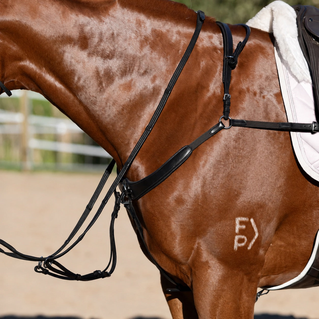 Lumiere Parker Breastplate