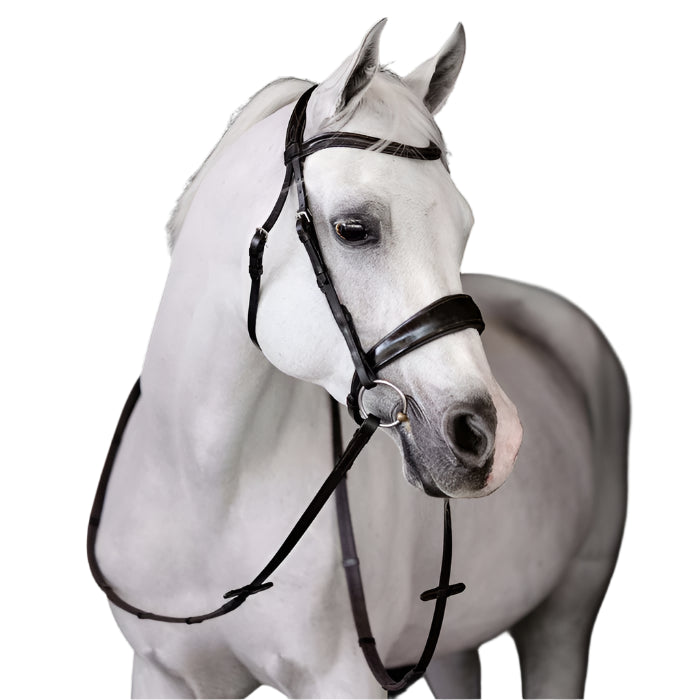 Lumiere Mikayla Convertible Bridle - EQ Saddlery